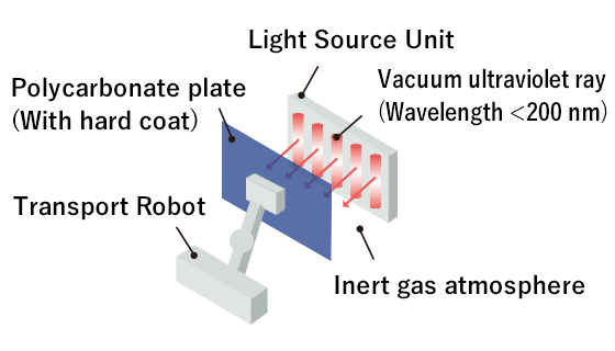 process6